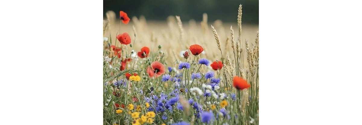Minnesamvær for Gabriel Kielland og Bjørn Jansen